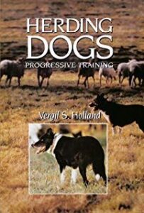 Training Border Collies: Getting Started Image